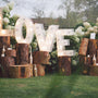 meadow decorated with wooden blocks, flowers and light up letters spelled LOVE