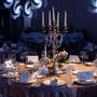 Elegant wedding tablescape and wedding decorations